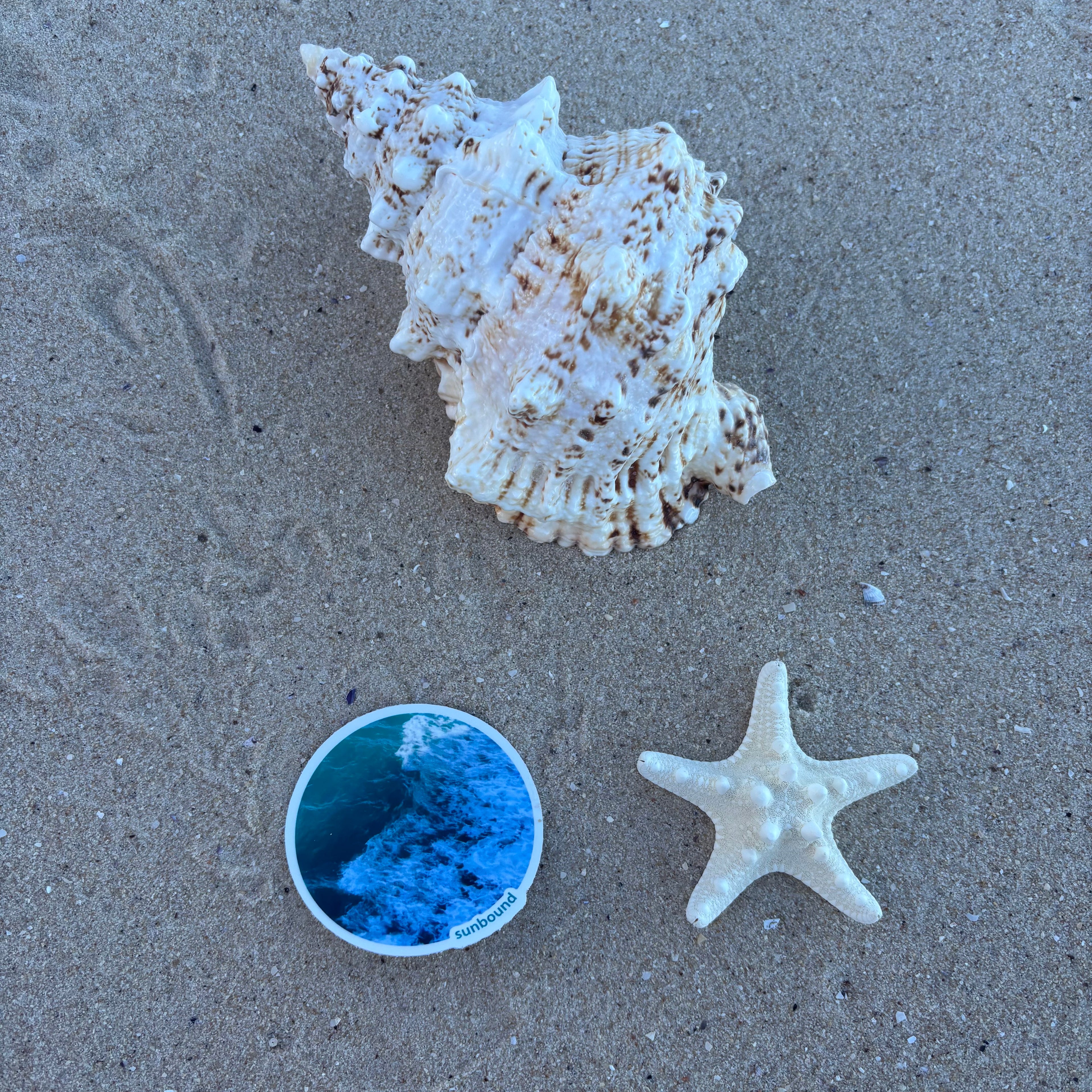Ocean Sticker