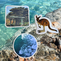Imperfect - Great Ocean Road, Ocean & Roo Patches