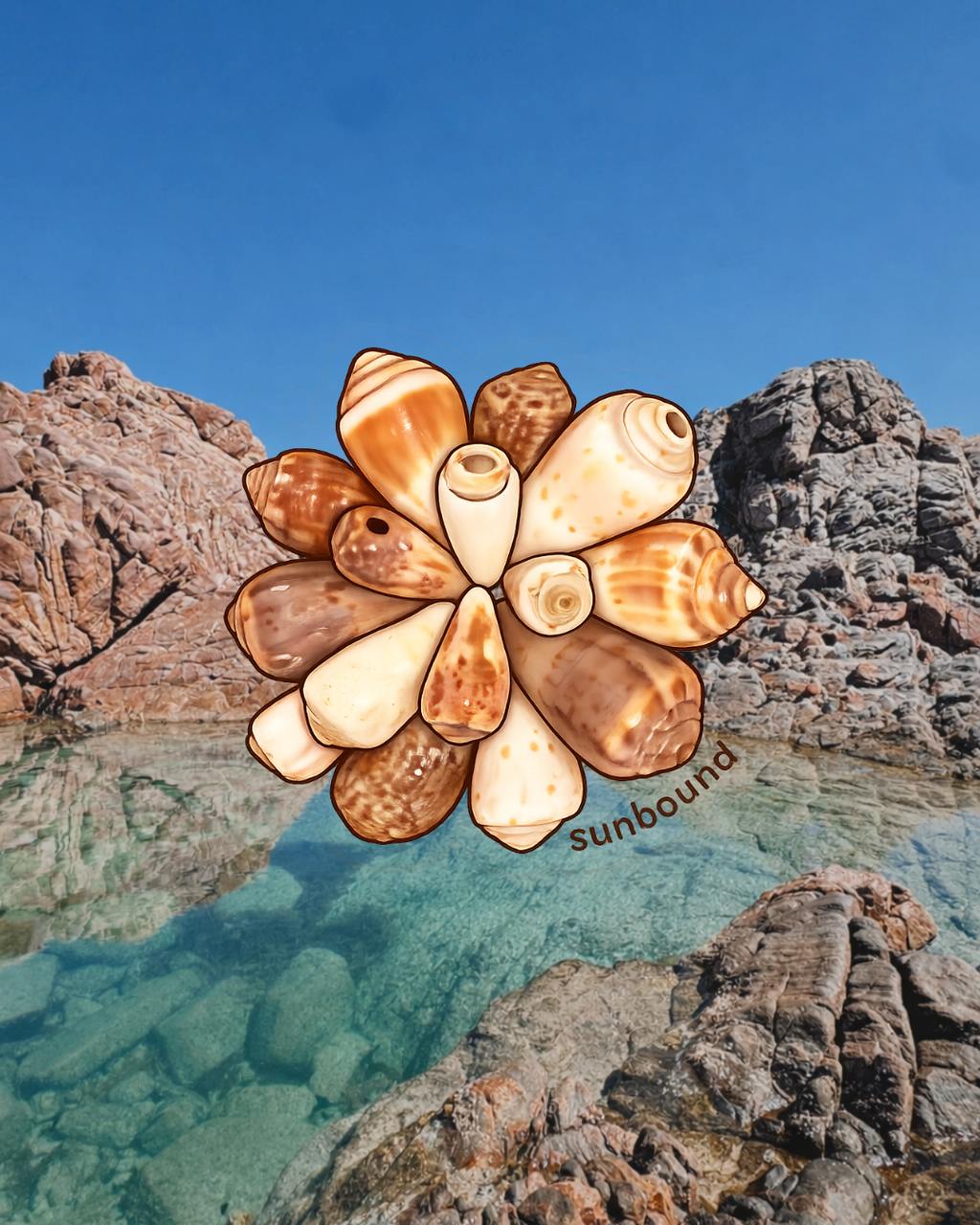 Shell Sticker
