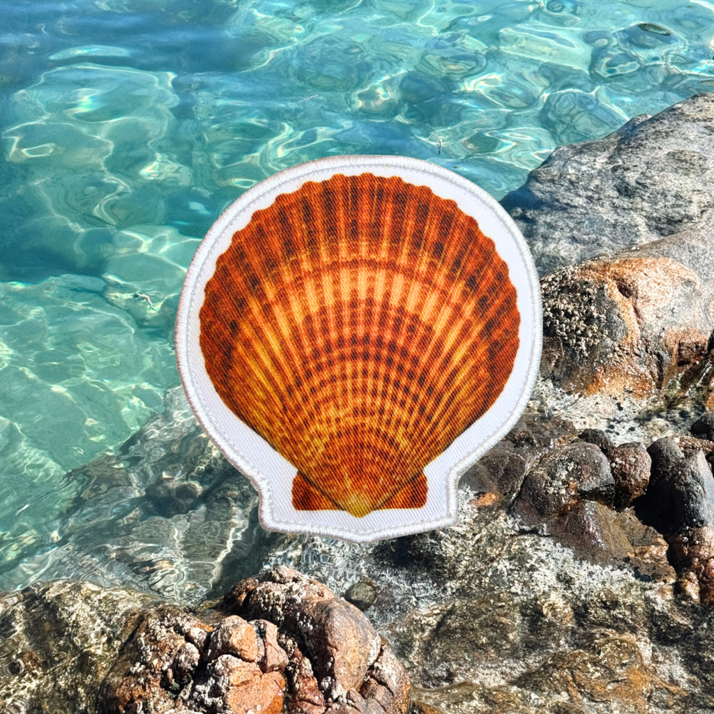 Imperfect - Seashells & Starfish Patches