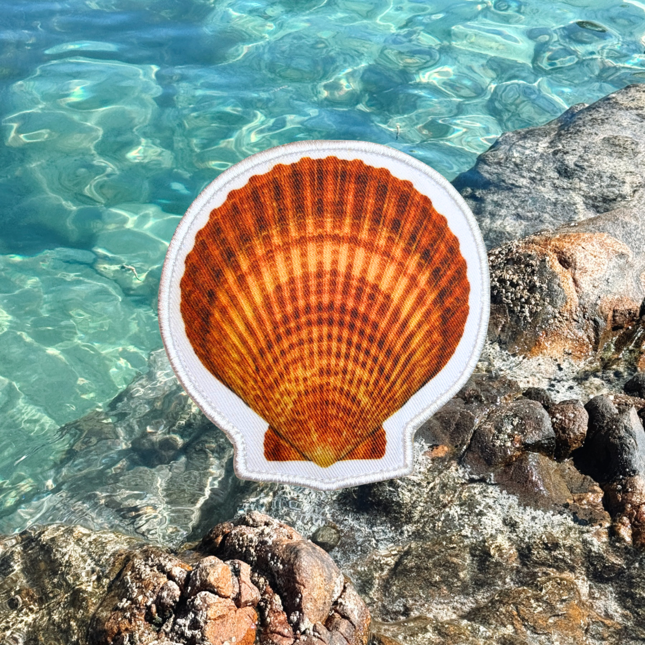Imperfect - Seashells & Starfish Patches