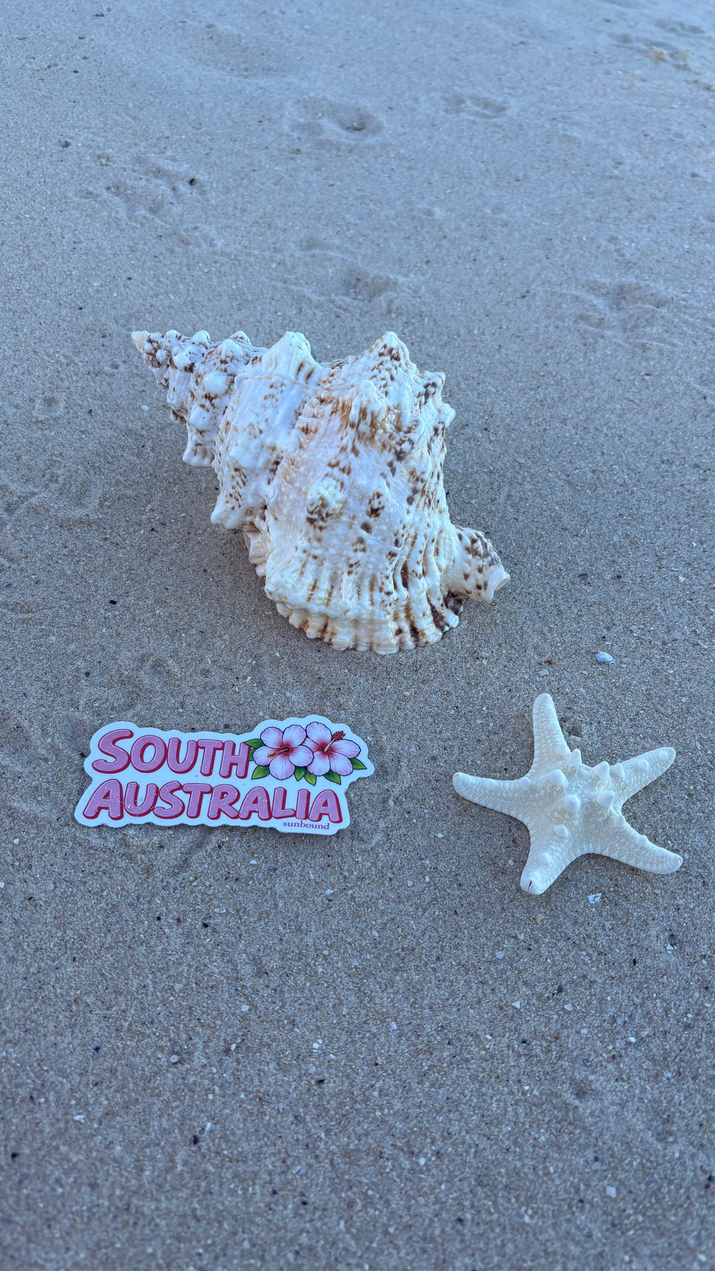 South Aus Sticker