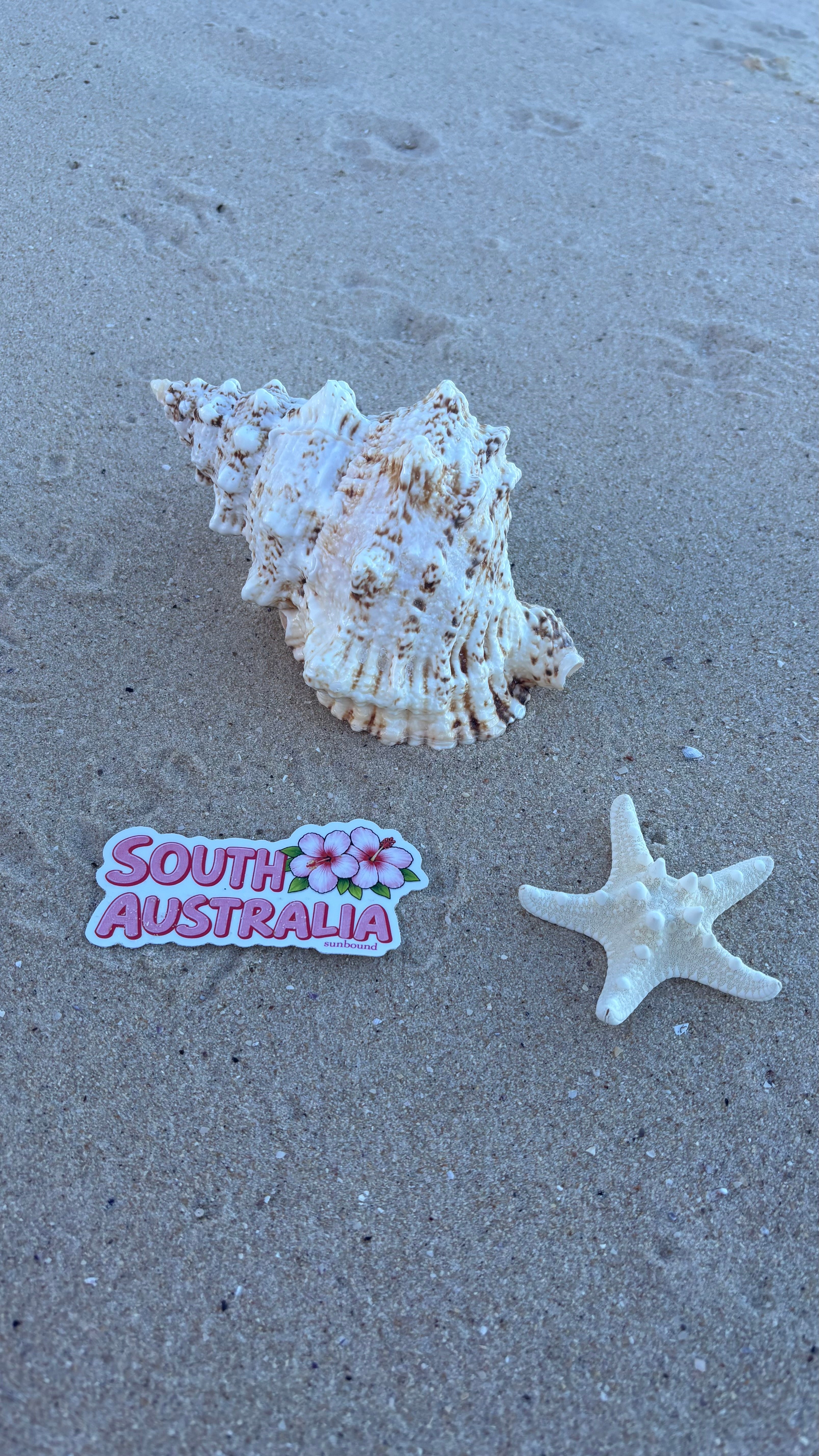 South Aus Sticker