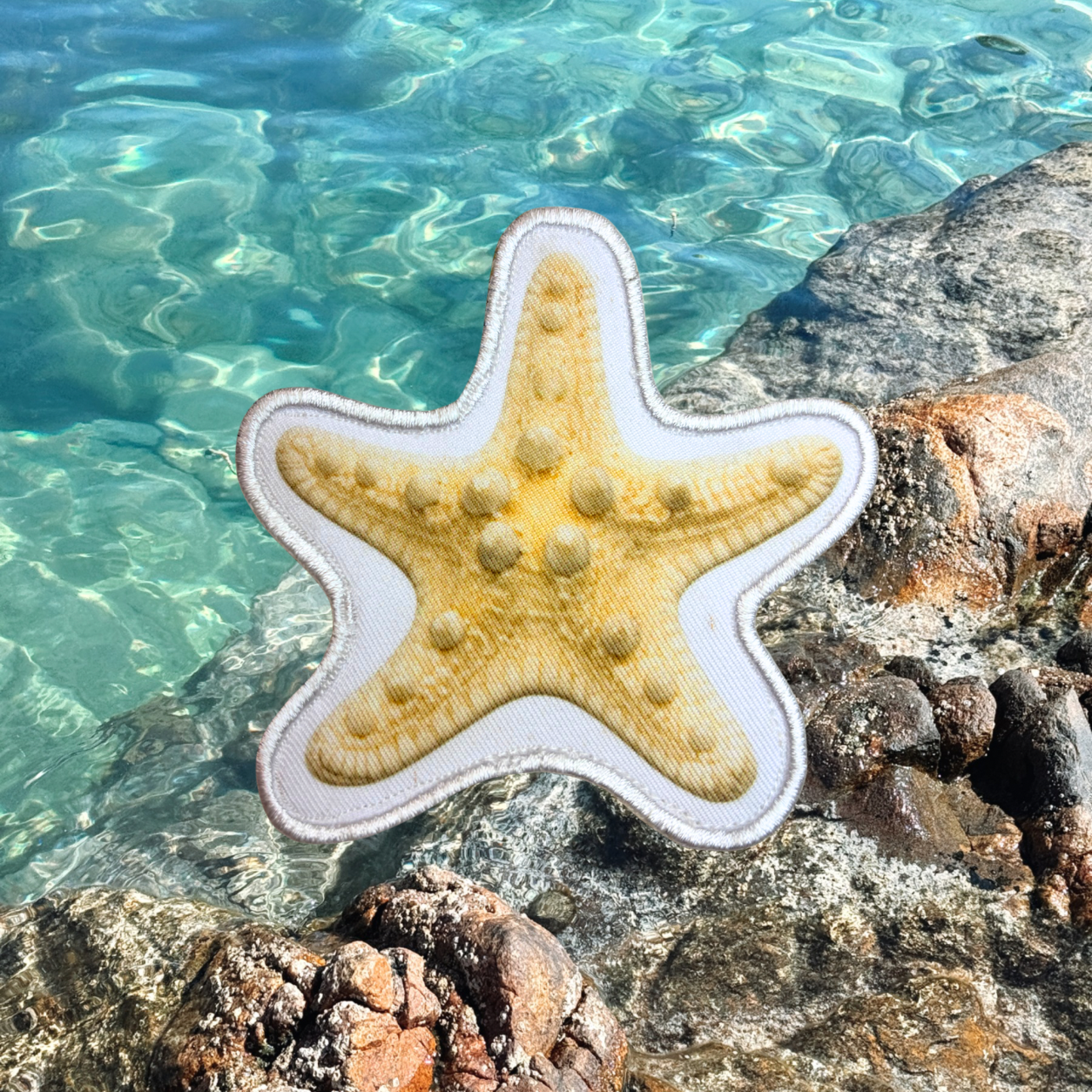 Imperfect - Seashells & Starfish Patches
