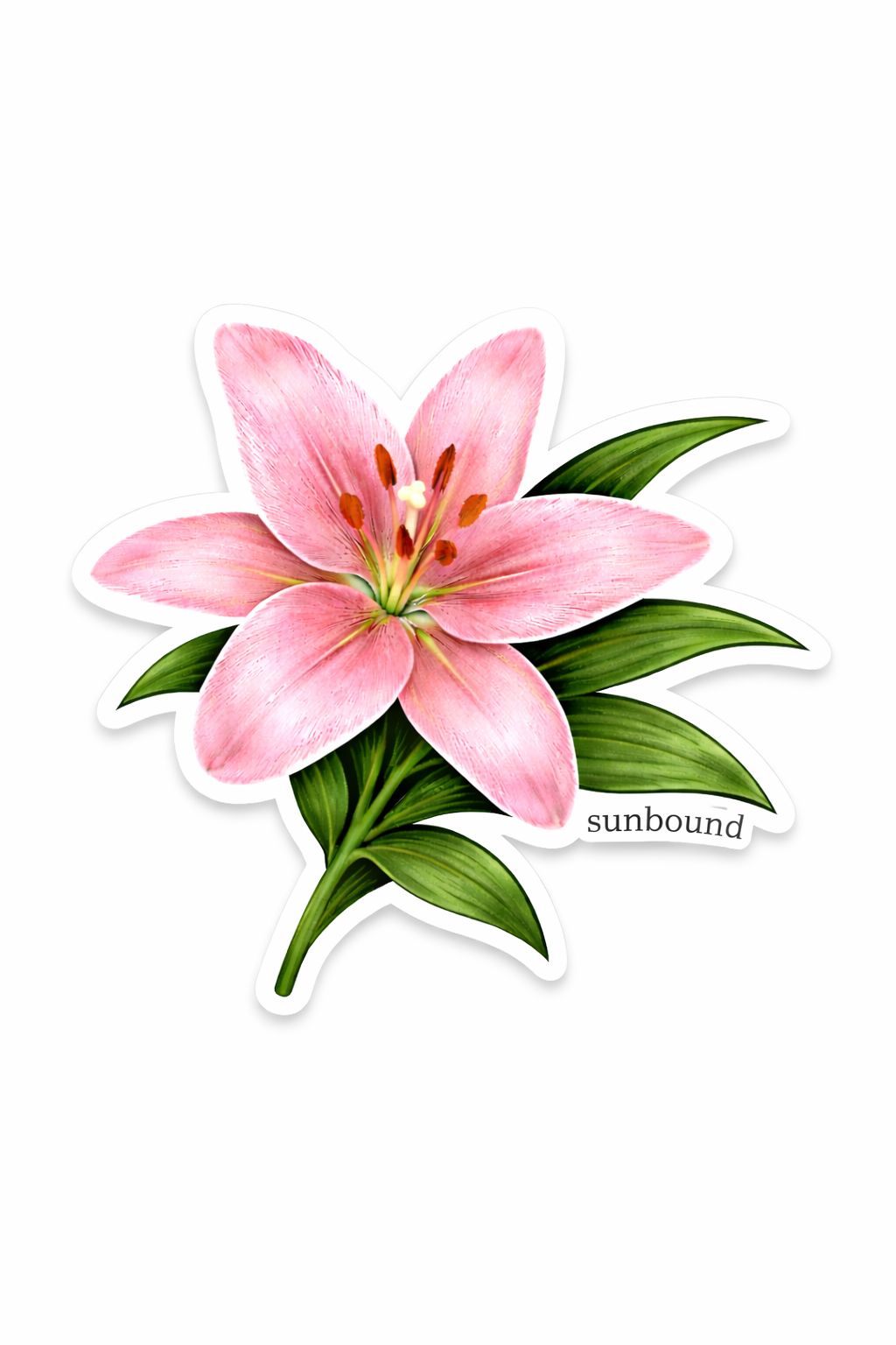 Lily Flower Sticker