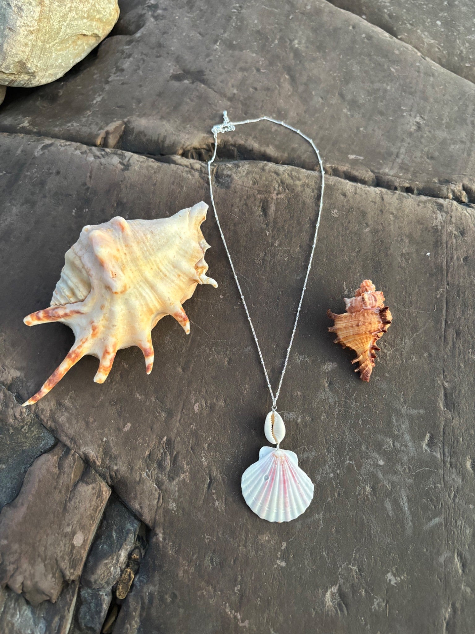 Cowrie & Scallop Necklace