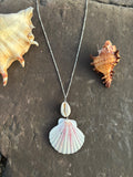 Cowrie & Scallop Necklace