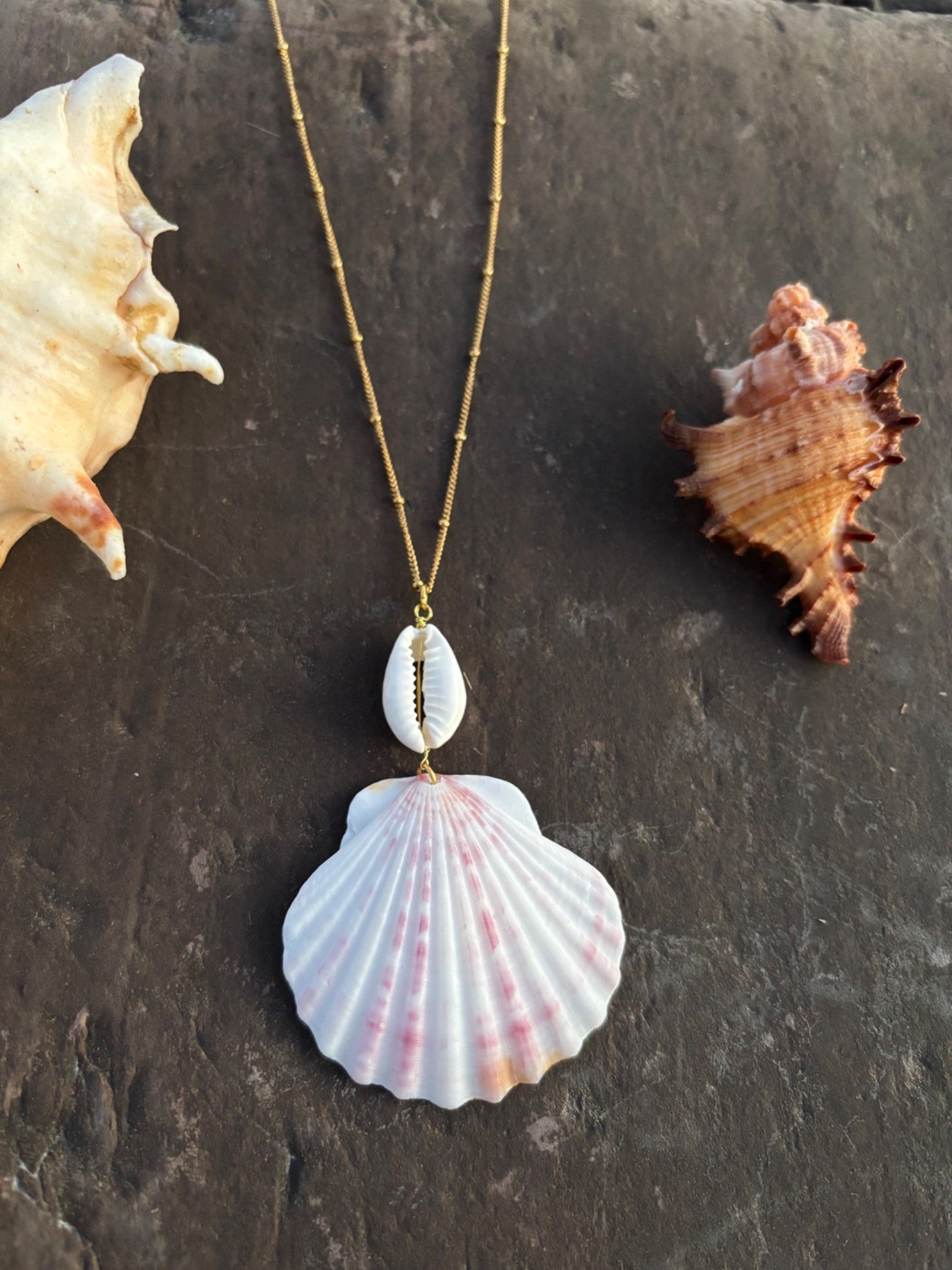Cowrie & Scallop Necklace