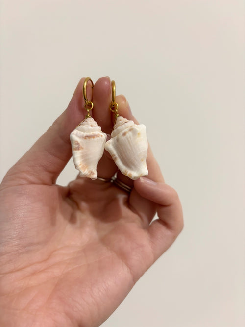 Conch Shell Earrings - Limited Edition