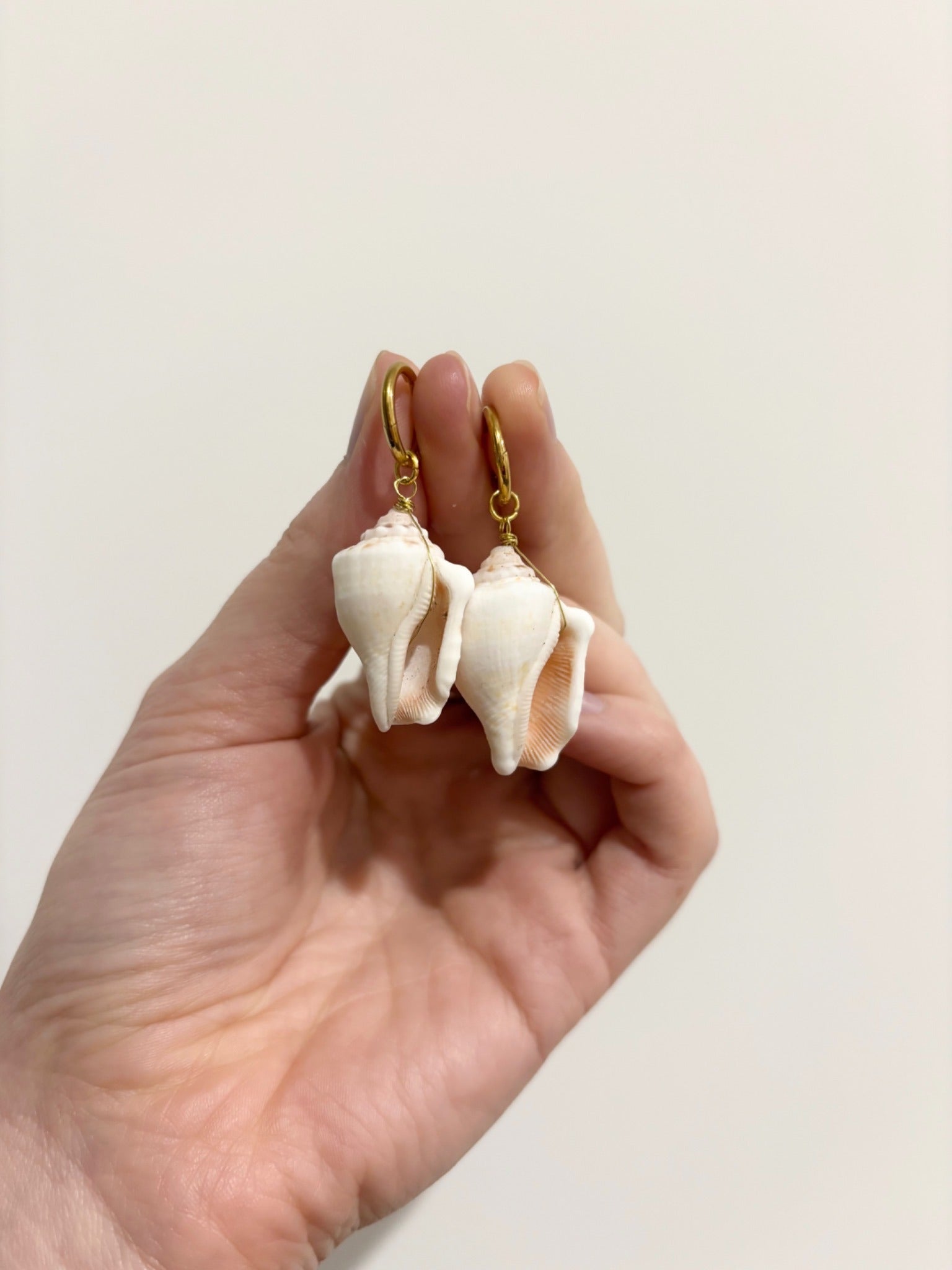 Conch Shell Earrings - Limited Edition