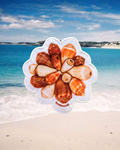 Cone Shell Floral Patch