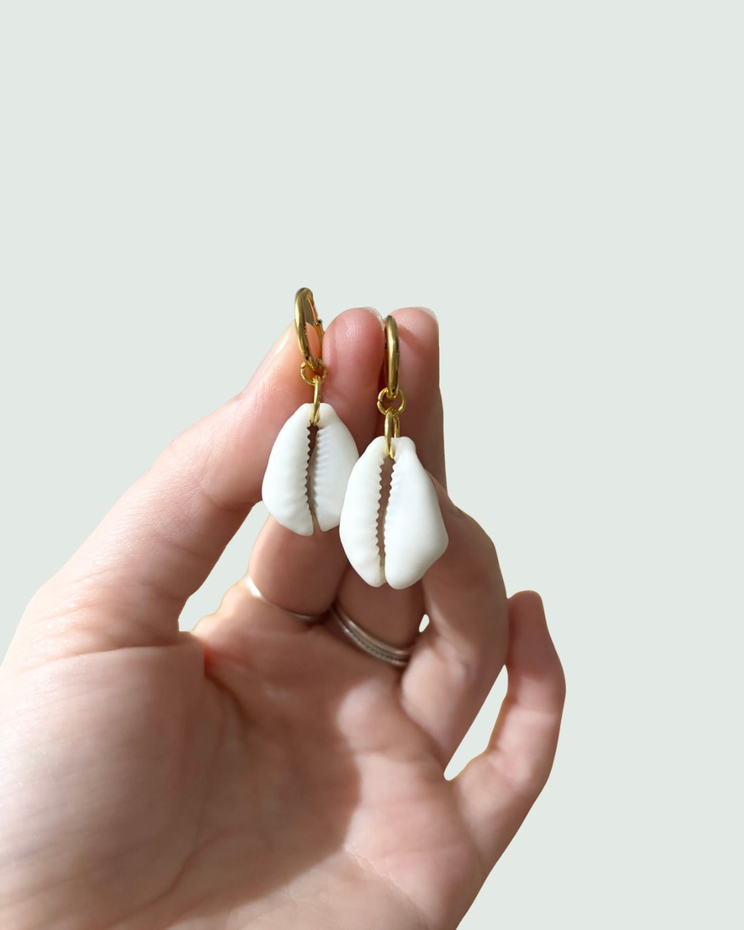 Money Cowrie Earrings